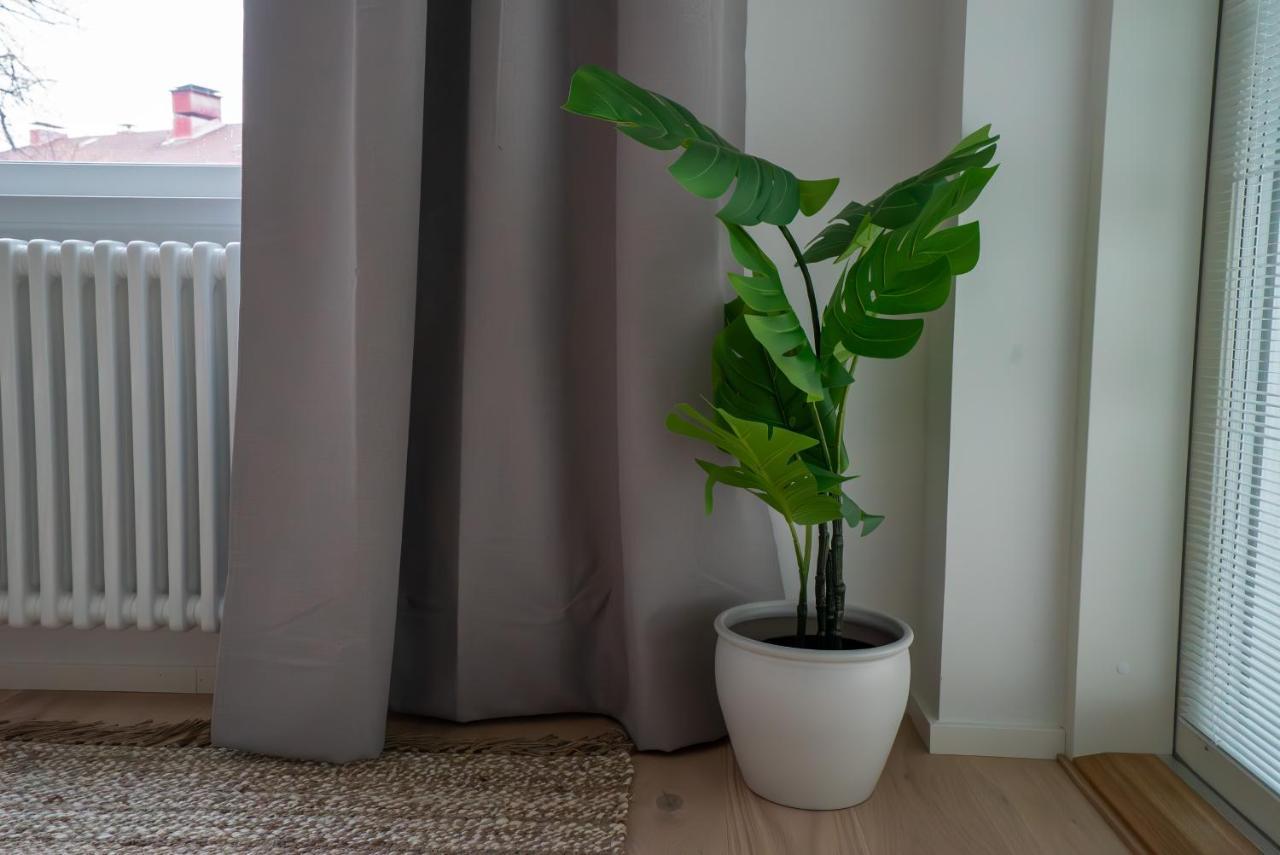 A New Apartment In 赫尔辛基 外观 照片